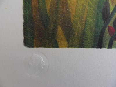Henri ROUSSEAU : Surpris - Lithographie signée et numérotée 2
