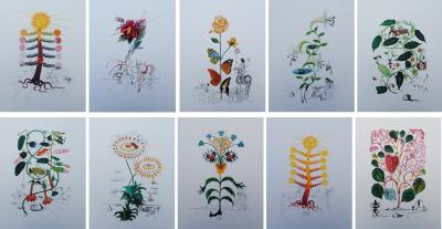 DALI Salvador :- FLORDALI - Série complète des 10 lithographies #1979 #800ex 2