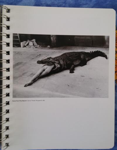 HELMUT NEWTON - Agenda porno-chic - photographies d’art  #1988 2