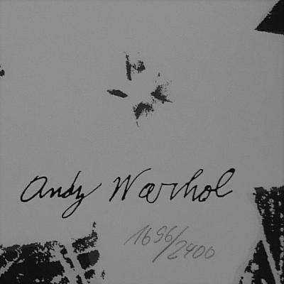 Andy WARHOL (d’après) - Flower IV - Granolithographie 2