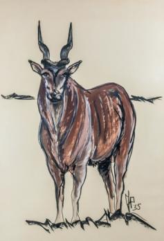 Jean POULAIN - Antilope, 1935, Aquarelle et fusain 2