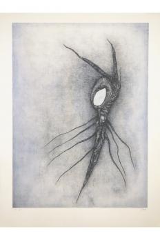 Fred DEUX - La Vingtième racine Cosmique, Lithographie originale signée, 2