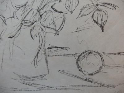 Alberto GIACOMETTI : Bouquet et pomme, Lithographie originale signée au crayon 2