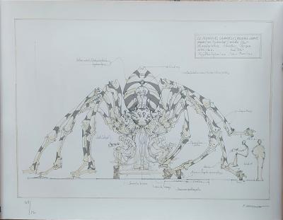 François DELAROZIERE - L’araignée géante, lithographie originale signée et numérotée 2