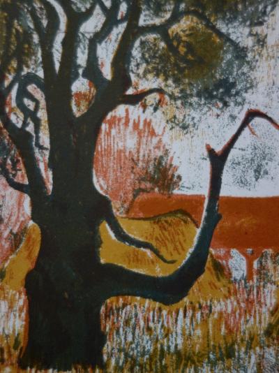 André MINAUX : Vieil arbre au fond de la cour -  Lithographie originale Signée 2