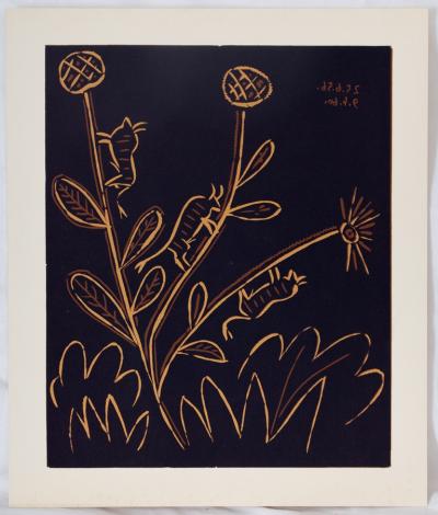 Pablo PICASSO : Plante aux toritos - Linogravure (1962) 2