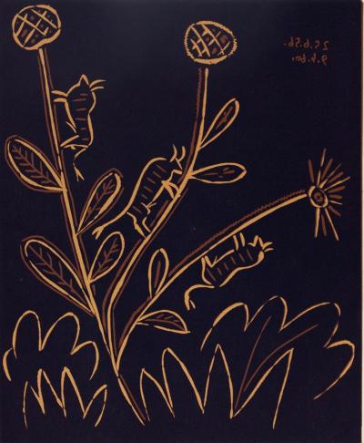 Pablo PICASSO : Plante aux toritos - Linogravure (1962) 2