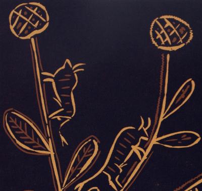 Pablo PICASSO : Plante aux toritos - Linogravure (1962) 2