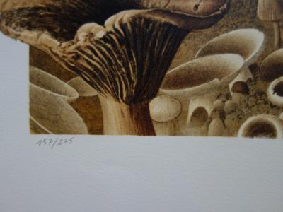 Roland CAT : Randonnée Mycologique - Lithographie originale signée 2
