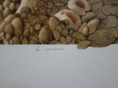 Roland CAT : Randonnée Mycologique - Lithographie originale signée 2