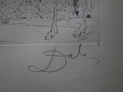 Salvador DALI: L’ane enragé - Gravure originale signée 2