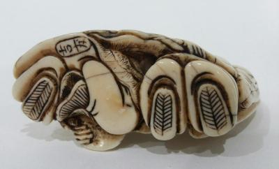 Rare netsuke en ivoire. Japon, Epoque EDO. Fin XVIII ème siècle. 2