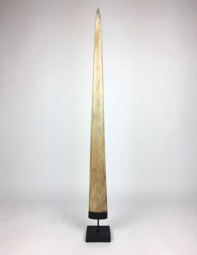 Grand rostre d’espadon soclé – Xiphias Gladius – (Espèces non citées) 2
