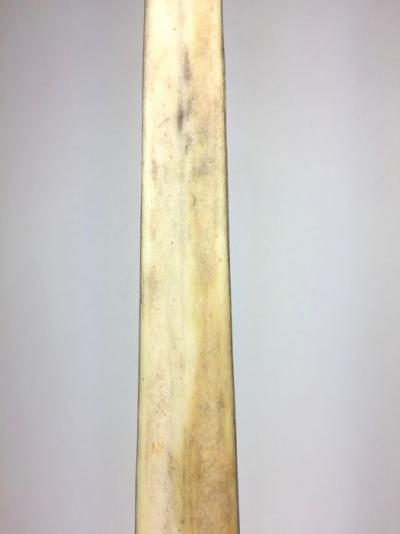 Grand rostre d’espadon soclé – Xiphias Gladius – (Espèces non citées) 2