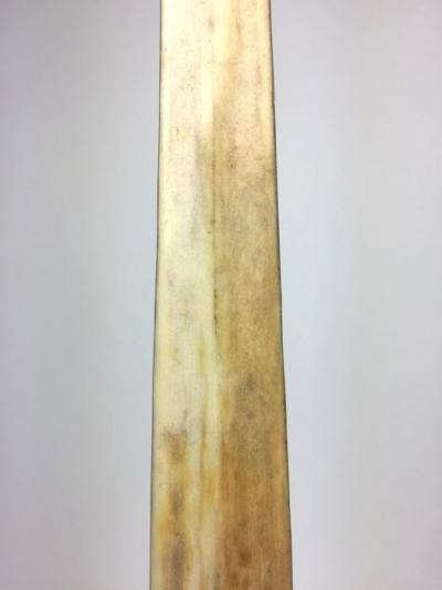 Grand rostre d’espadon soclé – Xiphias Gladius – (Espèces non citées) 2