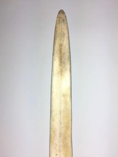 Grand rostre d’espadon soclé – Xiphias Gladius – (Espèces non citées) 2