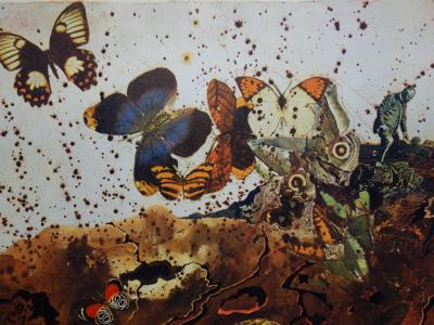 Salvador DALI : Auvergne - Lithographie originale signée SNCF, Suite Papillon 2