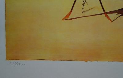 Salvador Dalí: Roussillon - Original lithograph signed SNCF, Butterfly Suite 2