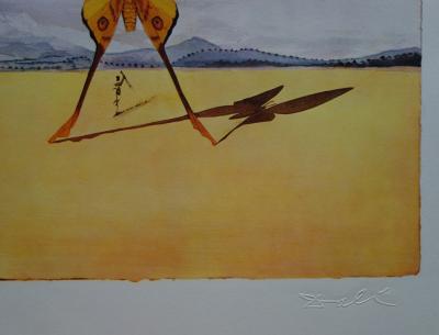 Salvador Dalí: Roussillon - Original lithograph signed SNCF, Butterfly Suite 2