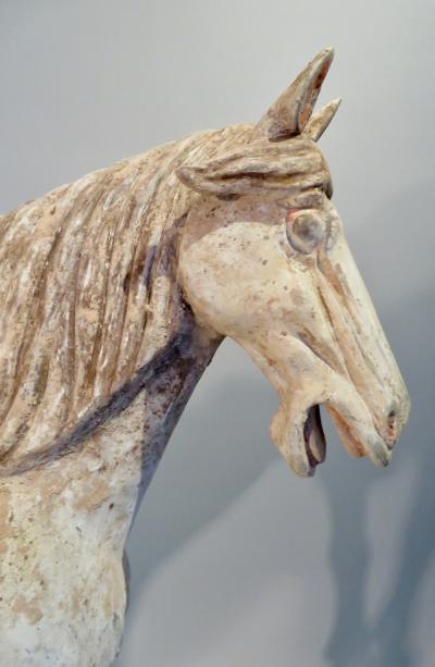 Cheval dynastie Tang, (618-907),avec TL test, Chine. N°2 2