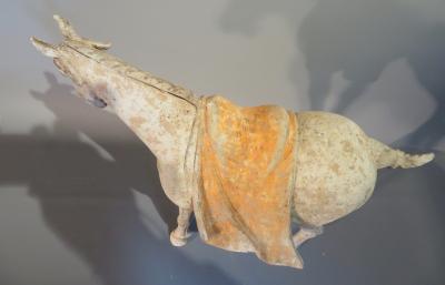 Cheval dynastie Tang, (618-907),avec TL test, Chine. N°2 2