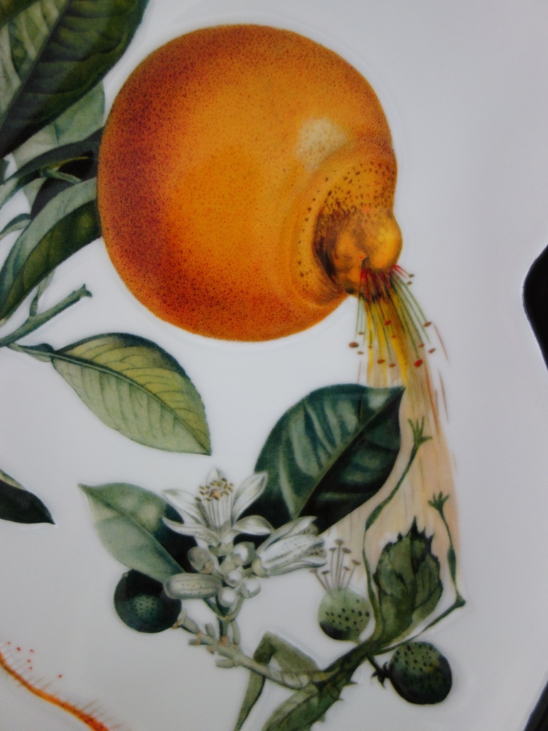 Salvador DALI Pamplemousse érotique Plat en Porcelaine signé Art