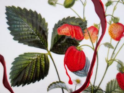 Salvador DALI  (d’après) - Coeur de fraises - Plat en Porcelaine original signé et numéroté 2