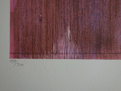 Hastaire HILAIRE - Fragment métallique riveté - Lithographie originale Signée 2