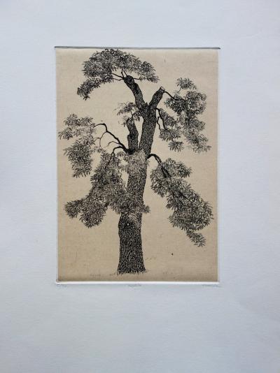 Jacques HOUPLAIN : L’Acacia - Gravure originale signée 2