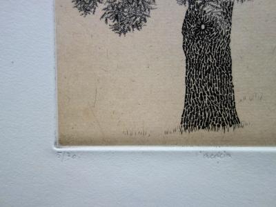Jacques HOUPLAIN : L’Acacia - Gravure originale signée 2