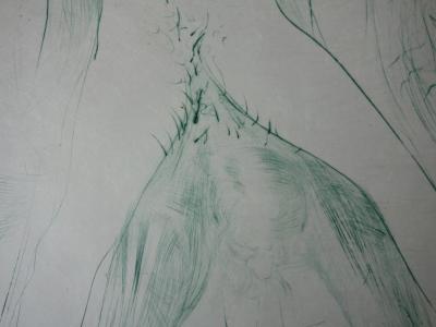Salvador DALI : Femme à cheval sur un homme - Gravure originale signée 2