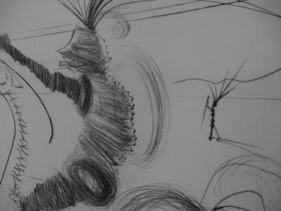 Salvador DALI : La Déroute de San Romano - Gravure originale Signée 2