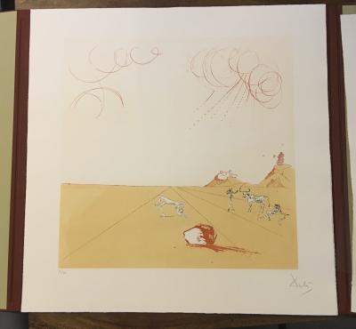 Salvador Dalí : 