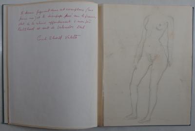 Salvador DALI - Modelo desnudo de pie - Dibujo original de la colección Paul Eluard 2