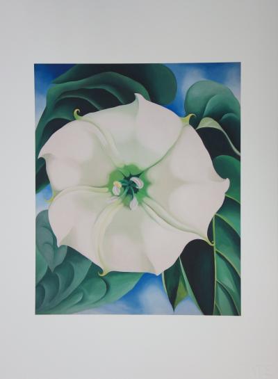 Georgia O’KEEFFE  (d’après) - Jimson Weed, White Flower - Lithographie 2