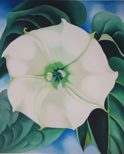 Georgia O’KEEFFE  (d’après) - Jimson Weed, White Flower - Lithographie 2