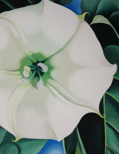 Georgia O’KEEFFE  (d’après) - Jimson Weed, White Flower - Lithographie 2