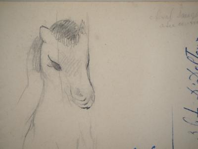 Marie LAURENCIN : Petit poney, dessin original signé 2