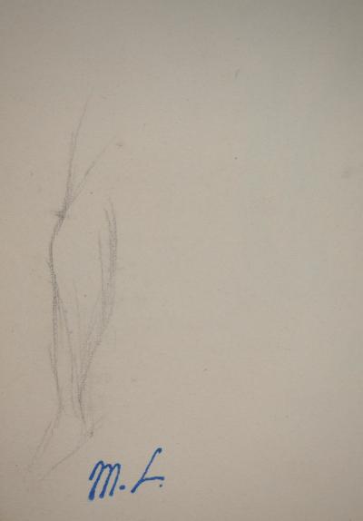 Marie LAURENCIN : Etude de jambe, dessin original signé 2