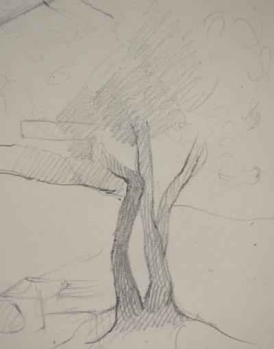 Marie LAURENCIN : Arbre dans un paysage, dessin original signé 2