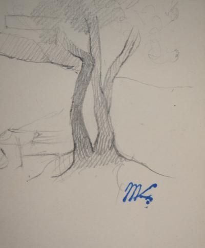 Marie LAURENCIN : Arbre dans un paysage, dessin original signé 2