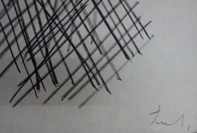 Etienne HAJDU : Bourgeon éclaté - Lithographie originale Signée 2