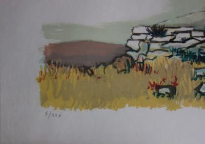 Yves BRAYER : La fileuse - Lithographie originale signée /30ex 2