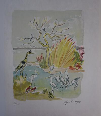 Yves BRAYER : Hérons et oiseaux de Camargue - Lithographie originale signée /30 ex 2