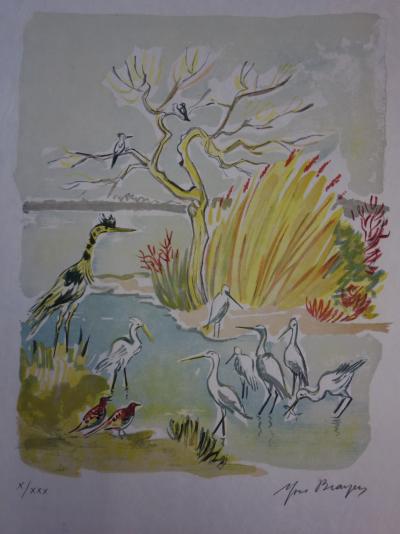 Yves BRAYER : Hérons et oiseaux de Camargue - Lithographie originale signée /30 ex 2