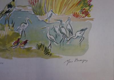 Yves BRAYER : Hérons et oiseaux de Camargue - Lithographie originale signée /30 ex 2
