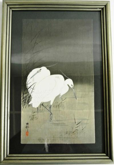 O’hara KOSON 