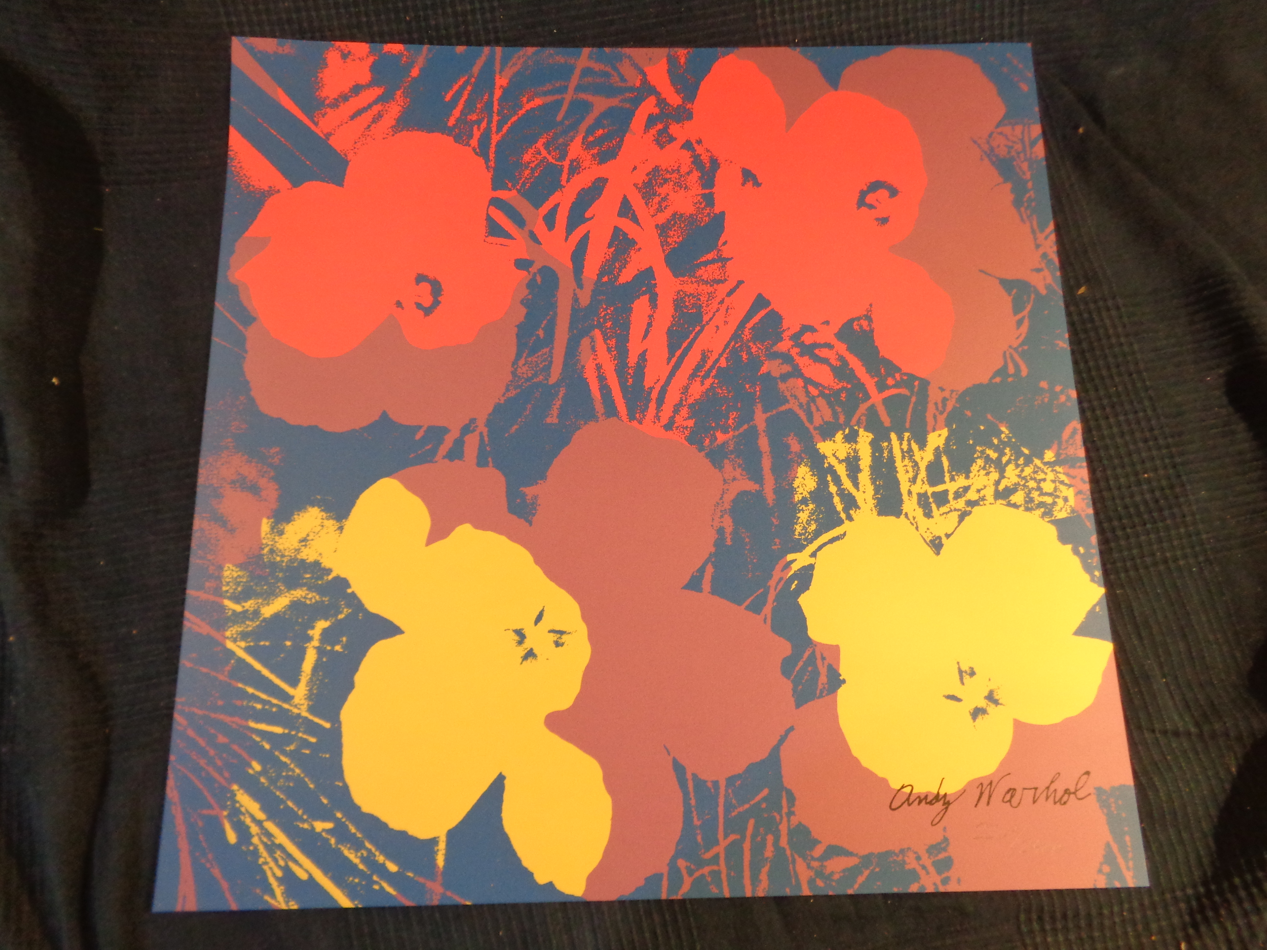 Andy Warhol Lithographie Poppy Flower Bleu Tampon Du Cmoa Signature Dans La Planche Post War Modern Art Plazzart Andy Warhol Lithographie Poppy Flower Bleu Tampon Du Cmoa Signature Dans La Planche Post War Modern Art Plazzart