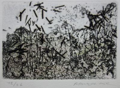 Julius BALTAZAR - Paysage à la japonaise, Gravure originale signée 2