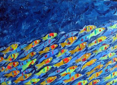 HAYVON  banc de sardines 46 2